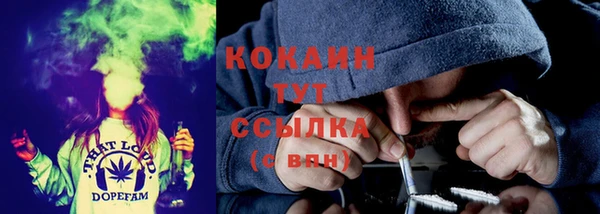крисы Арсеньев